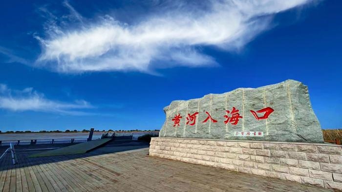 △黃河入?？谖挥谏綎|東營(yíng)市墾利區(qū)。(總臺(tái)央視記者彭漢明拍攝)