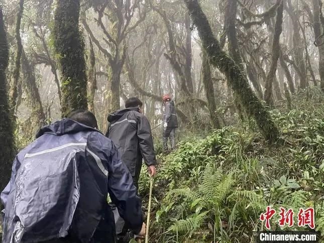 圖為救援現(xiàn)場。鎮(zhèn)沅縣委宣傳部提供