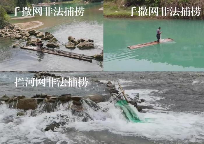 2021年9—10月，前期暗查發(fā)現(xiàn)，保護(hù)區(qū)核心區(qū)內(nèi)非法捕撈行為十分猖獗