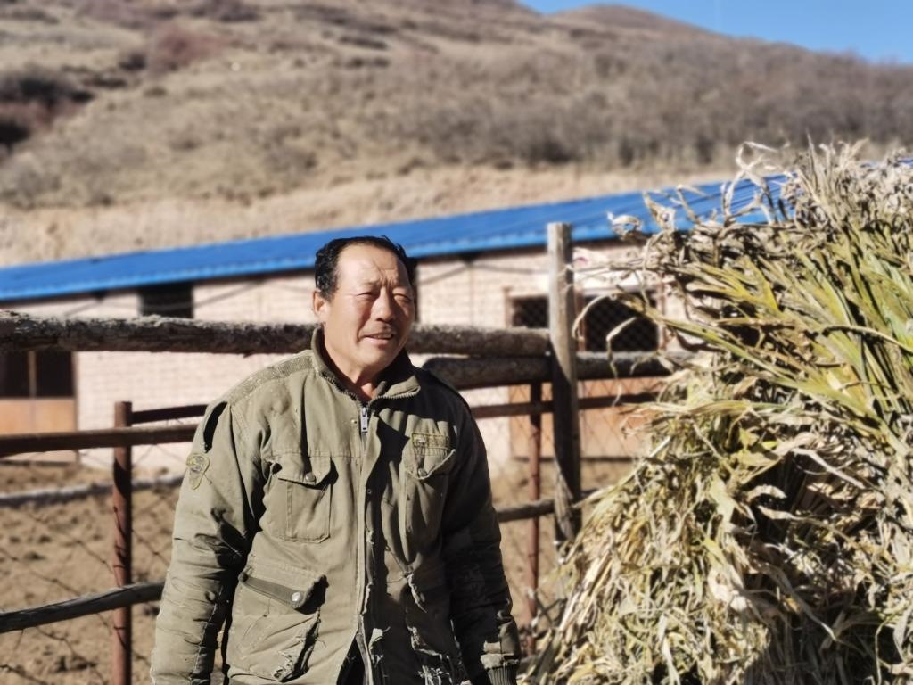 1月19日，山西省岢嵐縣脫貧戶(hù)呂如堂在牛圈前準(zhǔn)備草料。新華社記者 梁曉飛 攝