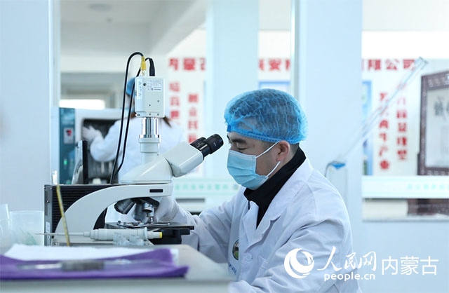 內(nèi)蒙古中農(nóng)興安種?？萍加邢薰韭鋺艨朴抑衅?，為肉牛產(chǎn)業(yè)發(fā)展提供了優(yōu)質(zhì)的種源保障。白俊華攝