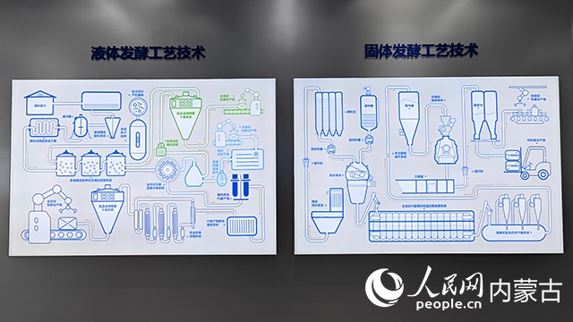 科拓生物工藝技術展示。人民網(wǎng)記者 張雪冬攝