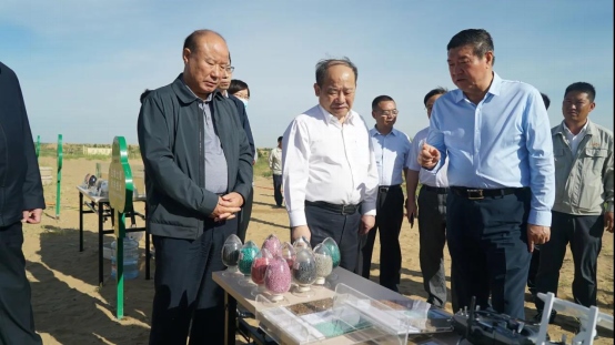 國家發(fā)改委副主任兼國家統(tǒng)計局局長寧吉喆在庫布其考察調研448.png