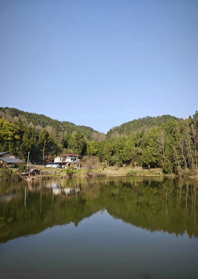 這樣在對面看，老家也算依山傍水.jpg