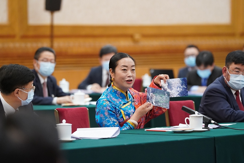 2021年3月7日，習(xí)近平總書記在參加十三屆全國人大四次會(huì)議青海代表團(tuán)審議時(shí)，全國人大代表孔慶菊在會(huì)上展示了兩張照片，上面分別是祁連山地區(qū)多年不見蹤跡的雪豹和荒漠貓。