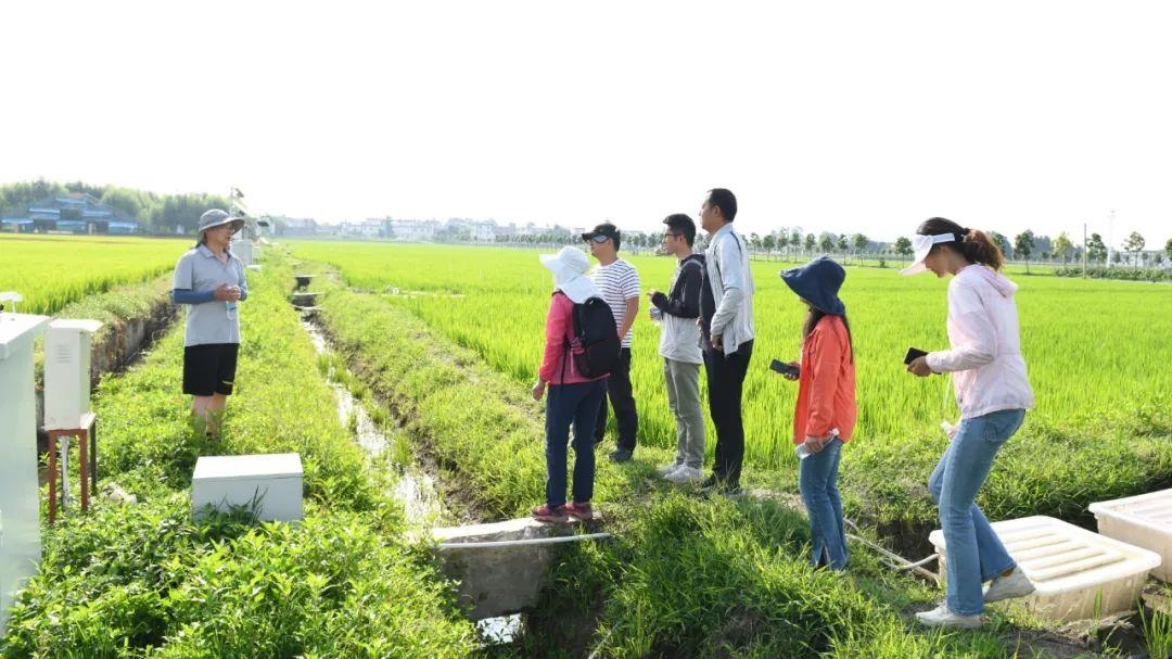 △云南大理古生村科技小院成員在田間調查。