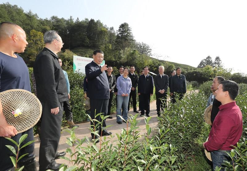 2021年3月22日，習(xí)近平總書記在福建南平武夷山市星村鎮(zhèn)燕子窠生態(tài)茶園，同科技特派員、茶農(nóng)親切交流，了解當(dāng)?shù)夭璁a(chǎn)業(yè)發(fā)展情況。