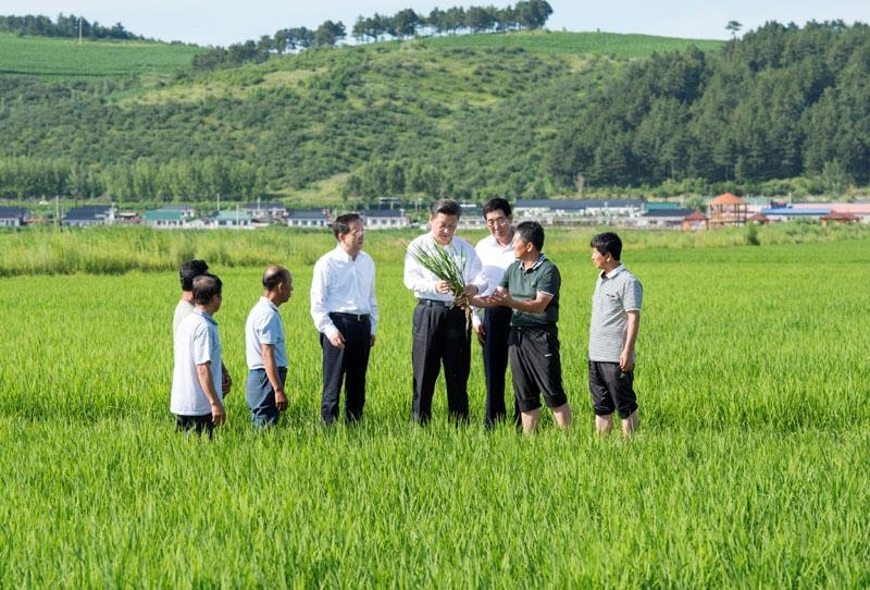 2015年7月16日，習(xí)近平總書記在吉林延邊州光東村稻田同村民和農(nóng)技人員交流。