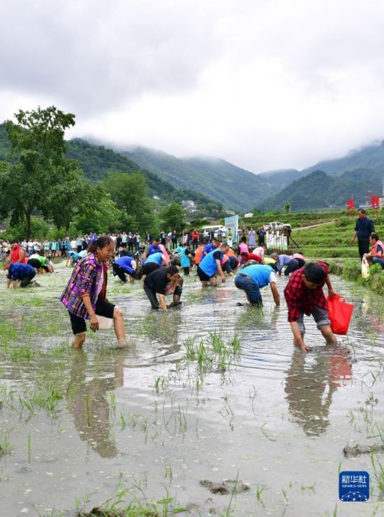 5月27日，秭歸縣九畹溪鎮(zhèn)農(nóng)民參加摸魚比賽。