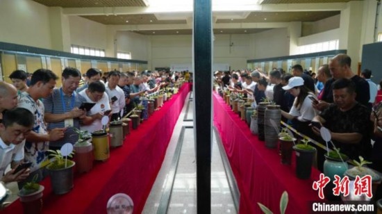圖為活動現(xiàn)場。 云南省委臺辦供圖
