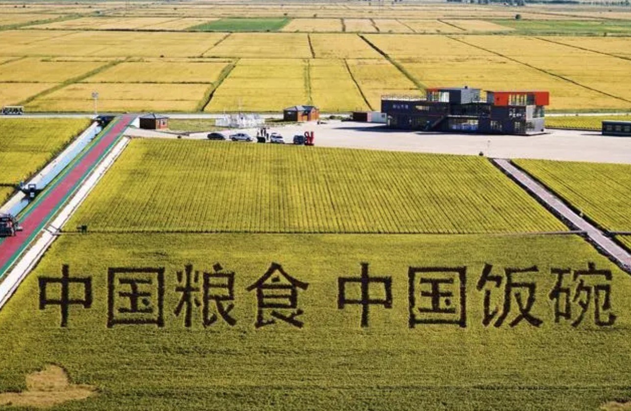 2022年9月2日，黑龍江省富錦市萬(wàn)畝水稻科技示范園內(nèi)的稻田畫(huà)。