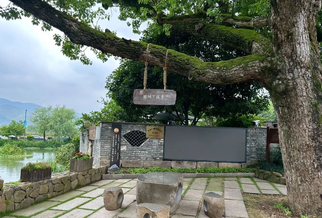 浙江省杭州市余杭區(qū)小古城村的“樟樹下議事”木制字牌。靜玄 攝