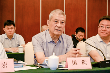 中國林業(yè)生態(tài)作家協(xié)會(huì)名譽(yù)主席梁衡發(fā)言。主辦方供圖