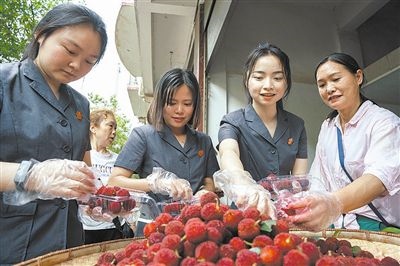 志愿者和村民一起將摘下的楊梅裝進(jìn)食品盒里。