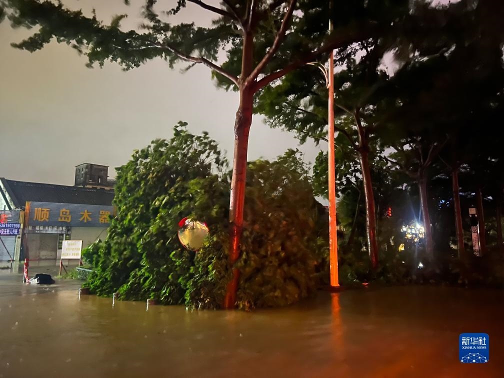 7月17日晚，在廣東湛江海濱大道北，路邊的樹木被風(fēng)刮倒（手機(jī)照片）。新華社記者 鄧華 攝