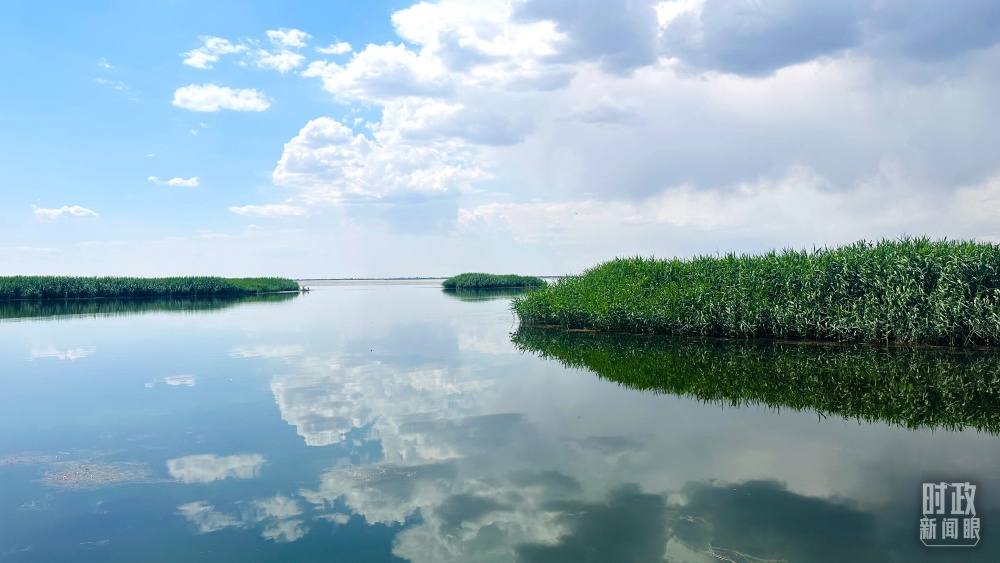 內(nèi)蒙古烏梁素海，是黃河流域最大的湖泊濕地。（總臺央視記者范一鳴拍攝）