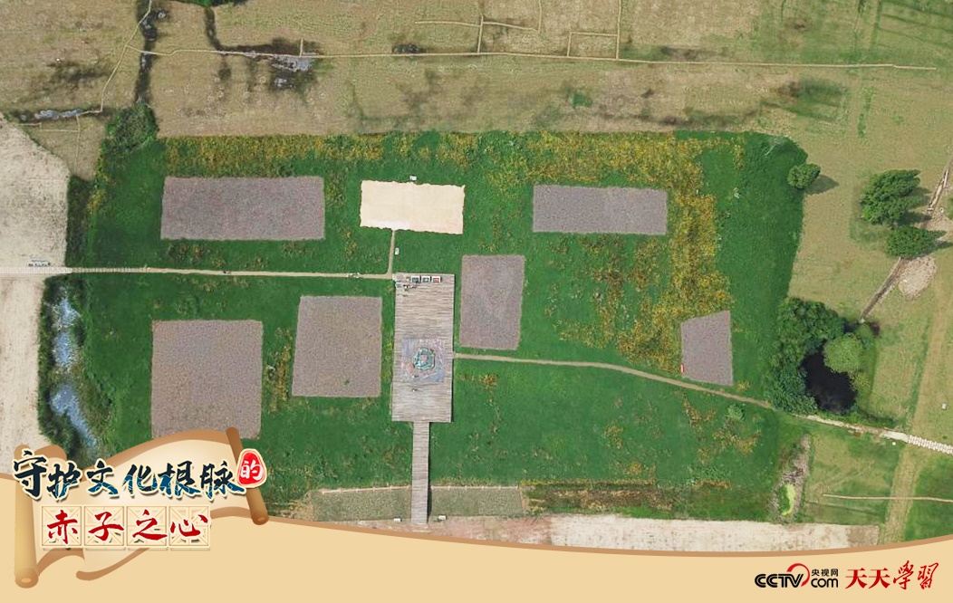 2019年6月23日無(wú)人機(jī)拍攝的良渚國(guó)家考古遺址公園的宮殿區(qū)。