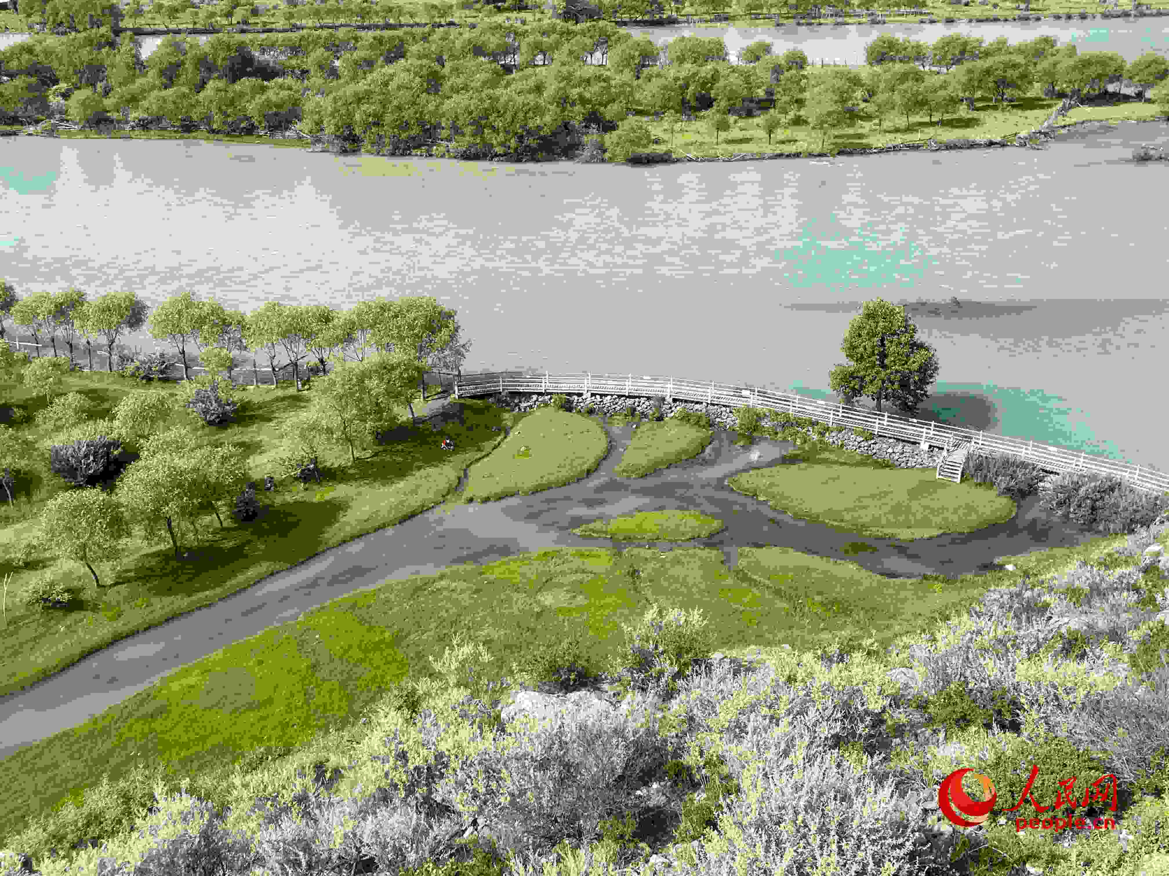 夏日的雅尼國家濕地公園生機(jī)盎然，如詩如畫。人民網(wǎng) 周靜圓攝