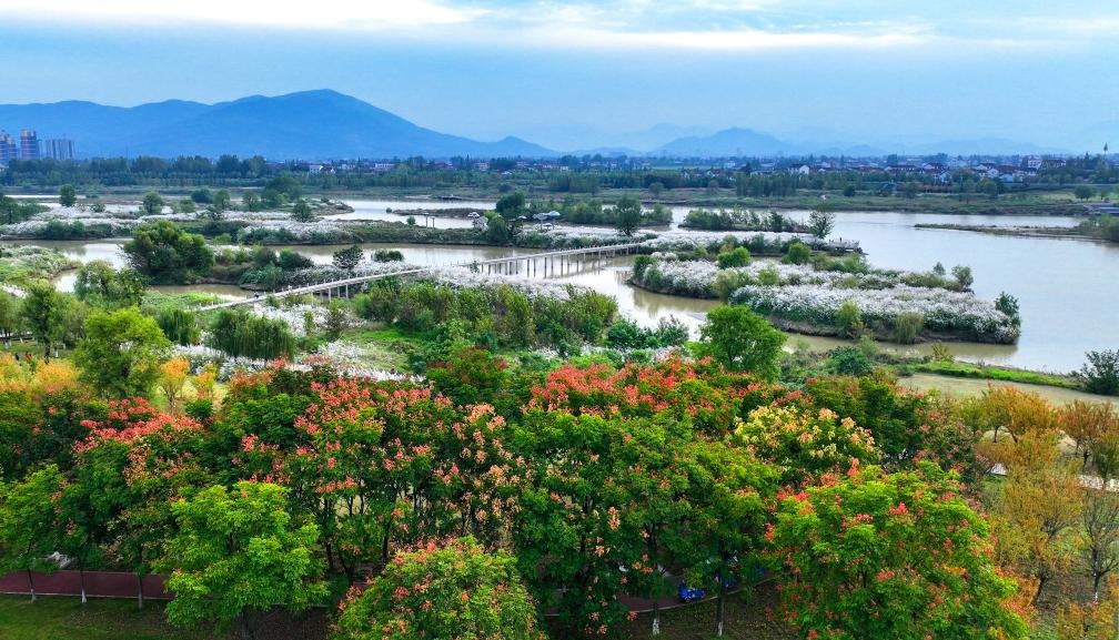 2022年10月11日拍攝的天漢濕地公園景色。新華社發(fā)（宋曉麗 攝）