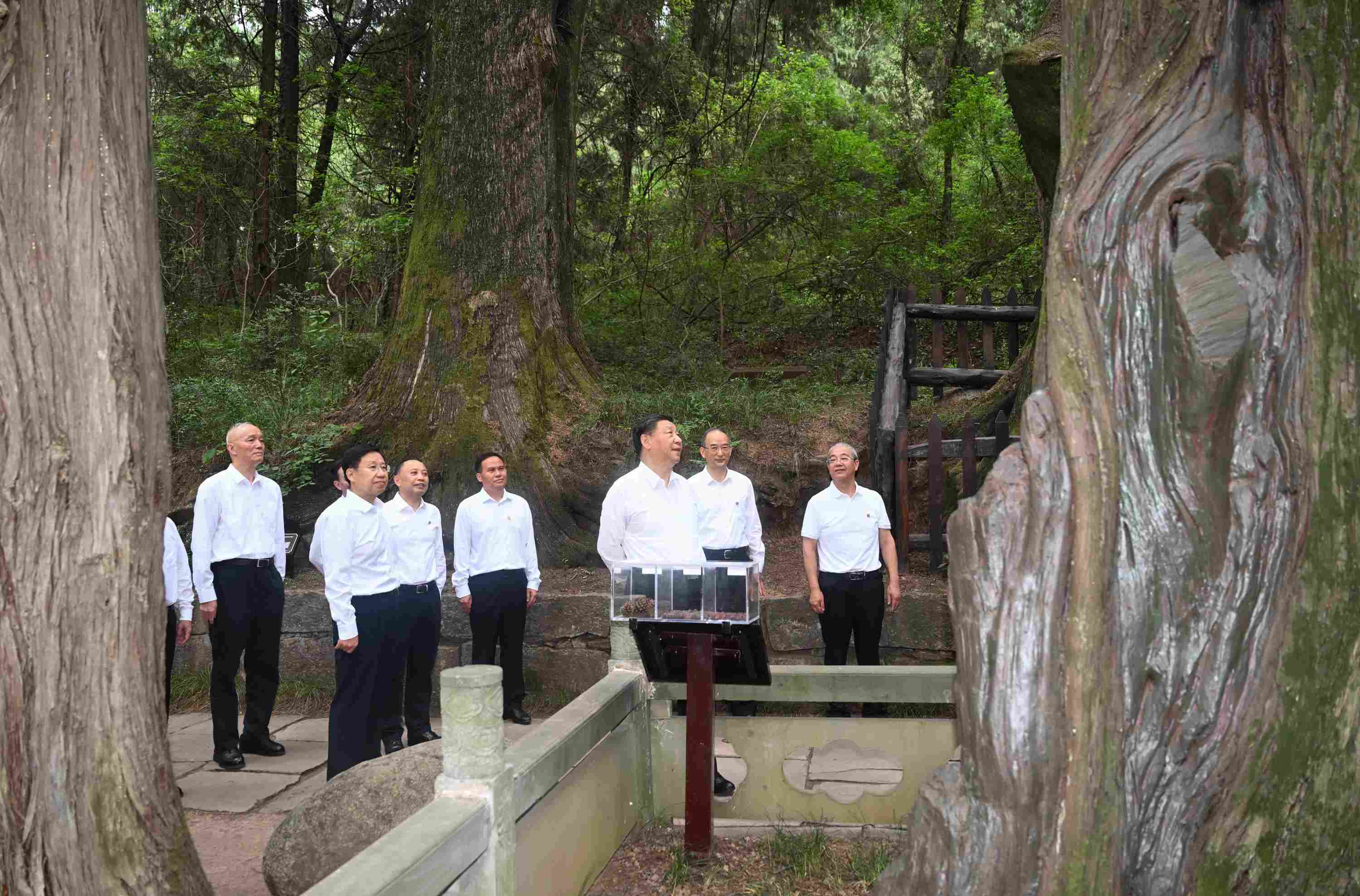 △2023年7月25日，習(xí)近平總書記在四川省廣元市考察了翠云廊古蜀道，了解當(dāng)?shù)赝七M(jìn)歷史文化傳承、加強(qiáng)生態(tài)文明建設(shè)等情況。