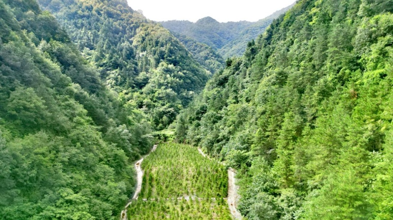 建設(shè)中的西氣東輸三線中段。受訪者供圖