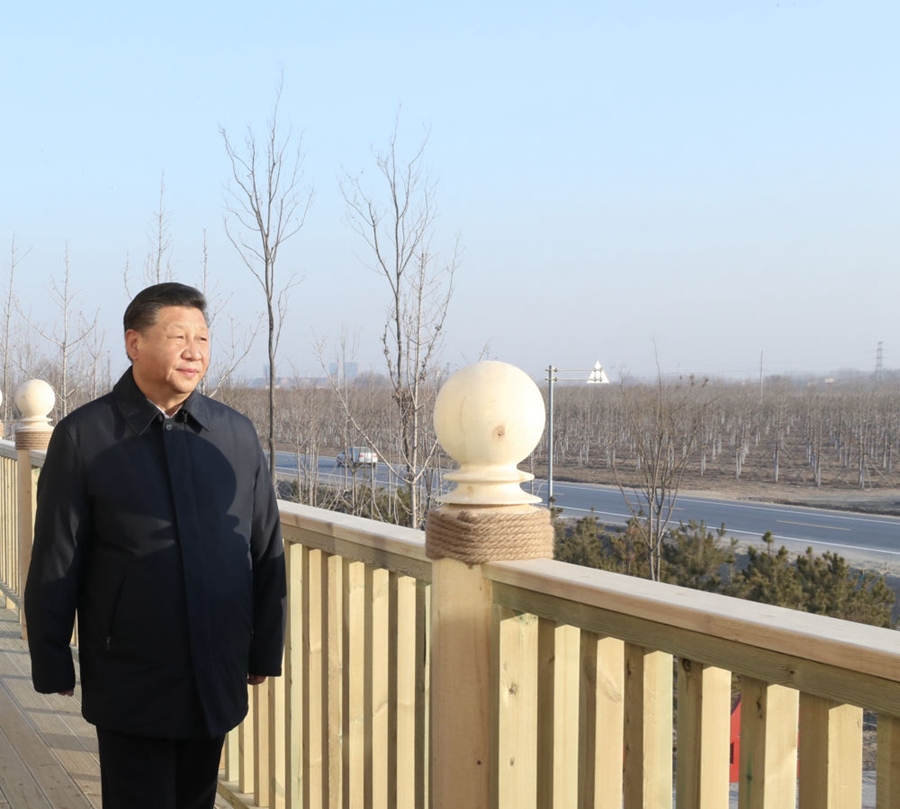 2019年1月16日，習(xí)近平在河北雄安新區(qū)考察調(diào)研。在“千年秀林”大清河片林一區(qū)造林區(qū)域，習(xí)近平登上秀林驛站二層平臺(tái)遠(yuǎn)眺林區(qū)全貌。