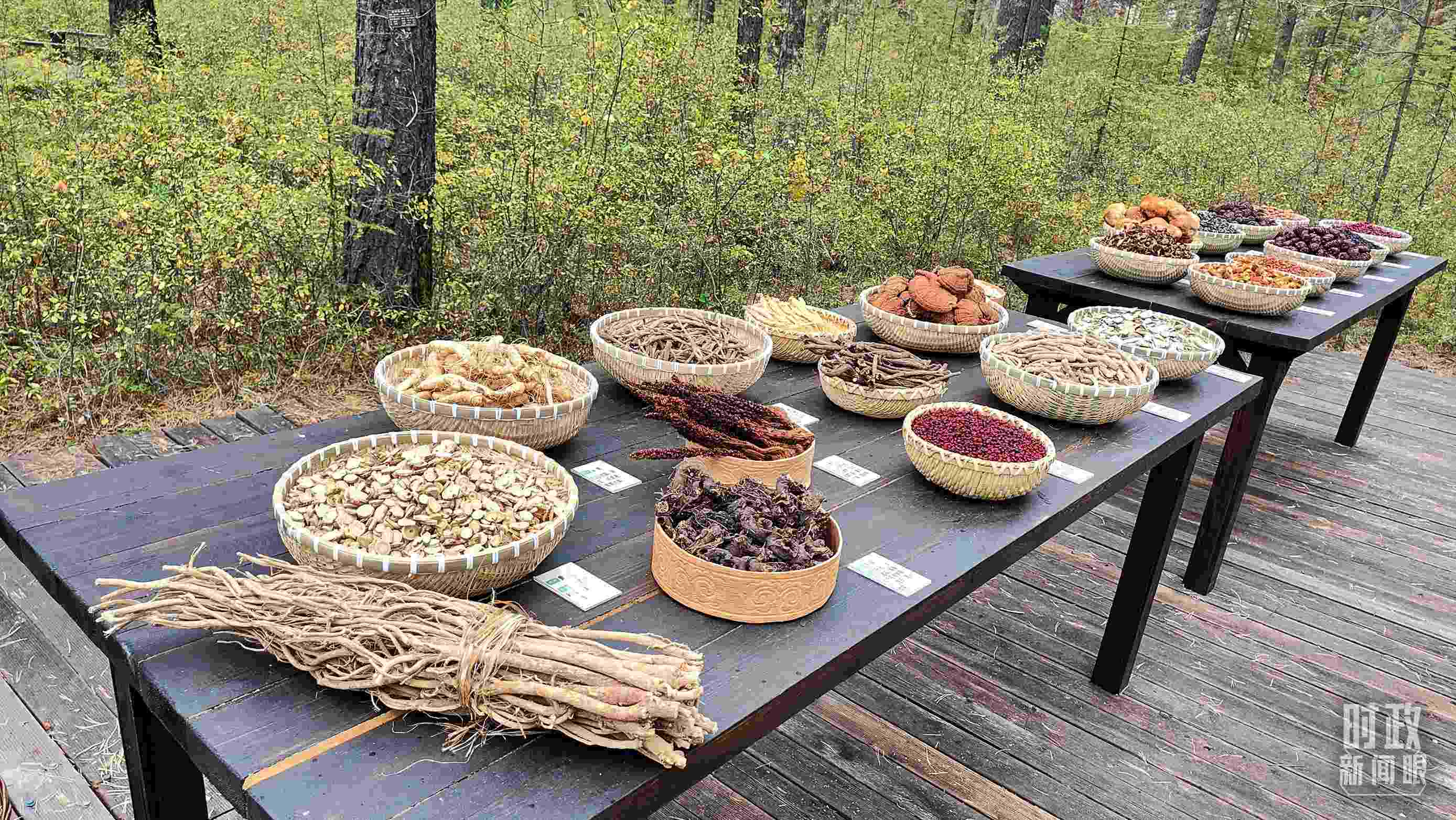 △林場里的食用菌、林果等特產(chǎn)。（總臺(tái)央視記者楊立峰拍攝）