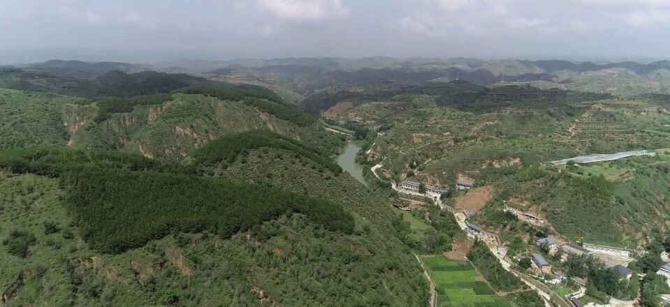 黃土溝壑中的高西溝村滿(mǎn)眼綠色（無(wú)人機(jī)照片，2023年7月26日）。新華社記者陳昌奇 攝