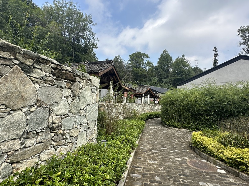 眾多民宿坐落于夫子山山麓。人民網(wǎng) 王紹紹攝