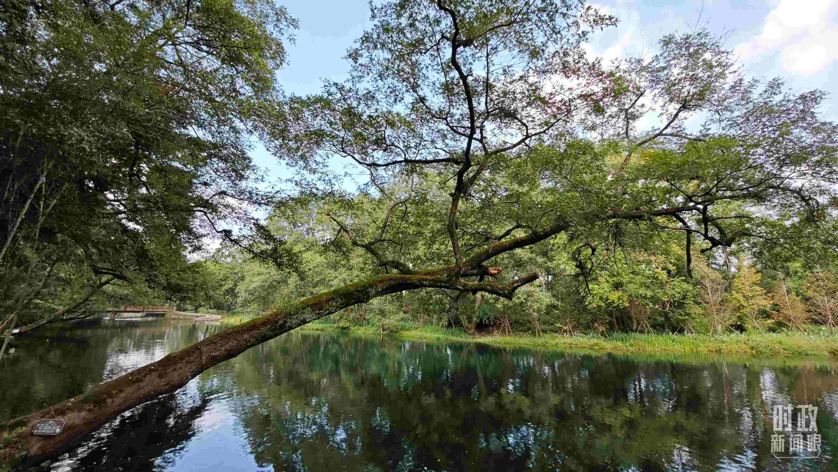 △饒河源國(guó)家濕地公園。（總臺(tái)央視記者郁振一拍攝）