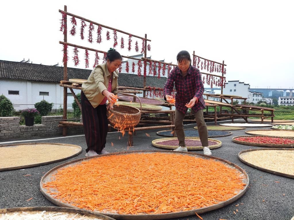 近日，江西省上饒市婺源縣秋口鎮(zhèn)王村的村民正在晾曬農(nóng)作物。新華社記者 劉佳敏 攝