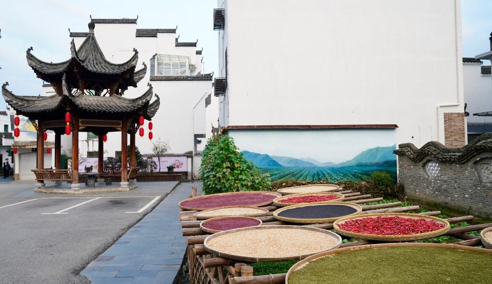 近日拍攝的江西省上饒市婺源縣秋口鎮(zhèn)王村石門自然村曬秋場(chǎng)景。新華社記者 胡晨歡 攝