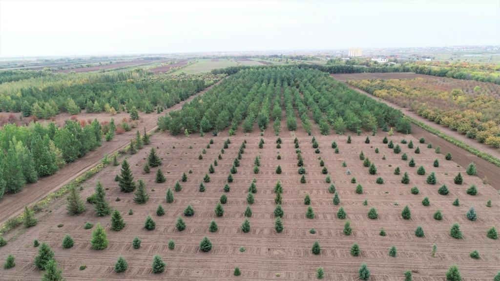 這是2023年9月11日在哈薩克斯坦首都阿斯塔納拍攝的一處植物種質資源苗圃（無人機照片）。新華社發(fā)（法爾哈特·圖克諾夫 攝）