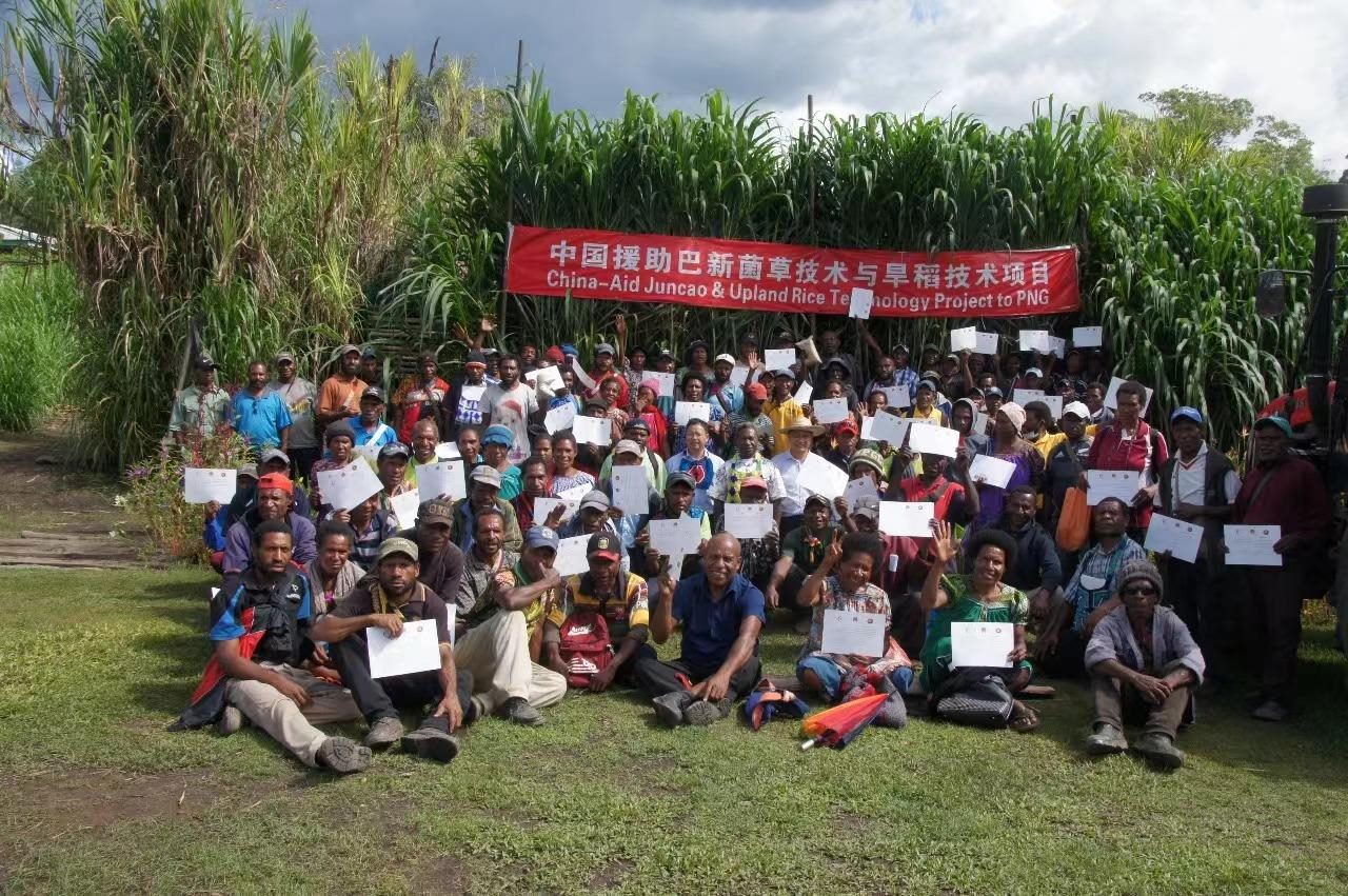 △2020年12月17日，在巴布亞新幾內(nèi)亞東高地省，參加中國援助巴新菌草和旱稻技術(shù)項(xiàng)目第9期培訓(xùn)班的當(dāng)?shù)孛癖娬故窘Y(jié)業(yè)證書。