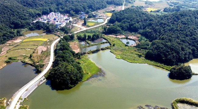 楊金龍用手機拍攝的道路全景。受訪者供圖