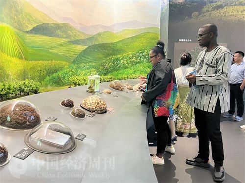  （在中國(guó)藥都中醫(yī)藥博物館，外媒記者了解中醫(yī)藥發(fā)展史。中國(guó)經(jīng)濟(jì)周刊記者 郭志強(qiáng) 攝）