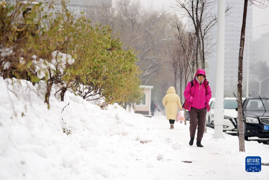 11月16日，市民在雪中前行。當日，黑龍江哈爾濱市迎來雨雪天氣。新華社記者 王建威 攝
