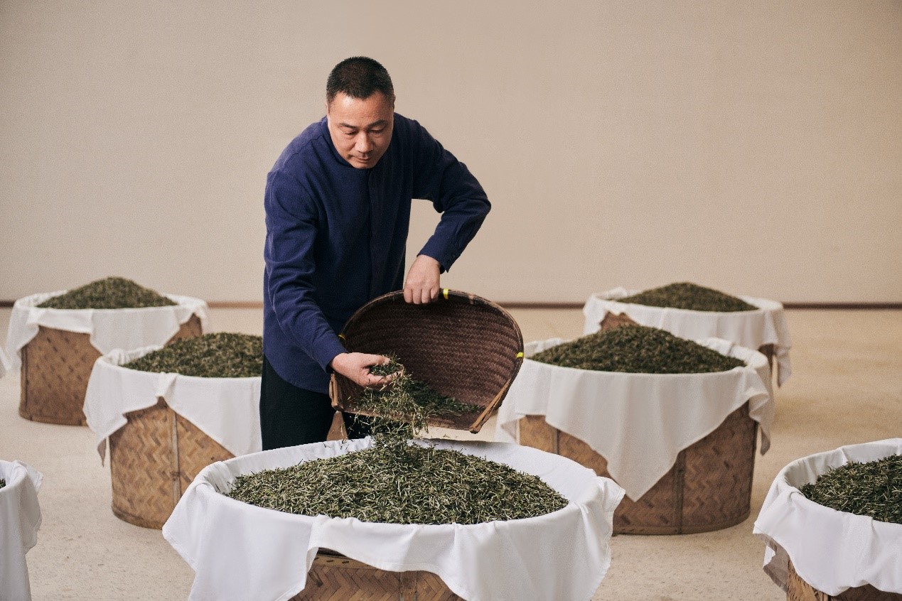 福鼎白茶制作技藝的省級(jí)代表性傳承人林振傳在制茶。受訪者供圖