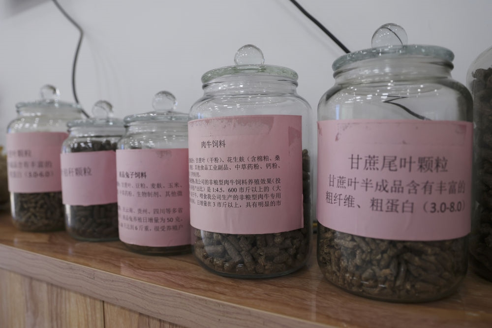 這是12月13日在來賓市興賓區(qū)小平陽鎮(zhèn)一家飼料廠拍攝的以甘蔗尾葉為原料制成的飼料。