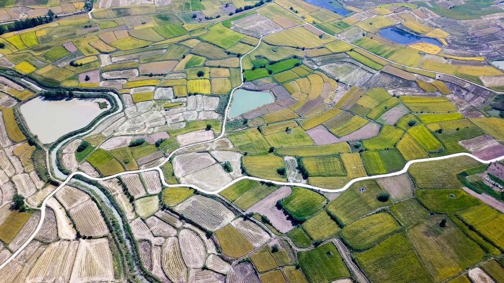 安徽省鳳陽縣小崗村的田野景象（2018年9月27日攝，無人機照片）。新華社記者 張端 攝