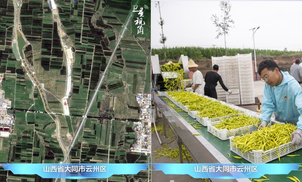 當前，大同市開發(fā)黃花菜品、食品、飲品、功能食品、化妝品、文創(chuàng)產品六大系列130余種，全產業(yè)鏈產值超40億元。
