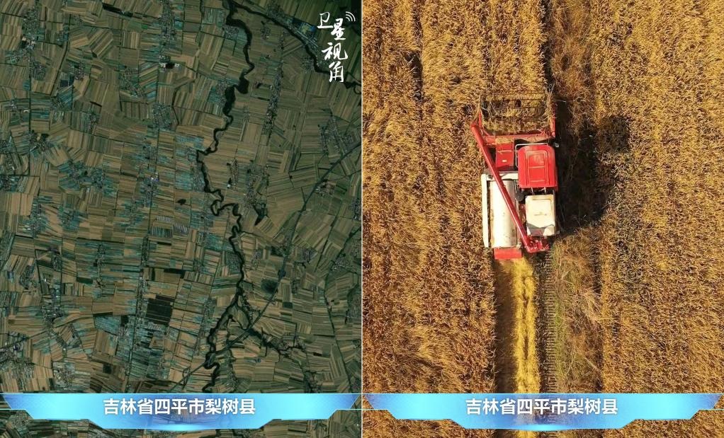 隨著現(xiàn)代化農機普及應用，保護性耕作“梨樹模式”得以大面積推廣，不僅使黑土地保護與利用持續(xù)深入，更為糧食作物高產穩(wěn)產助力。