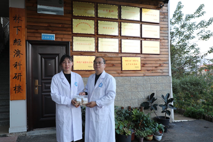 載“育”歸來(lái)的黑老虎種子回到“林下藥用植物應(yīng)用技術(shù)湖南省工程研究中心”