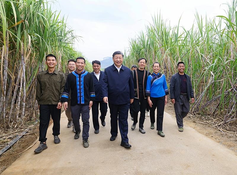 2023年12月14日，習近平總書記在廣西來賓市國家現(xiàn)代農(nóng)業(yè)產(chǎn)業(yè)園黃安優(yōu)質(zhì)“雙高”糖料蔗基地考察。