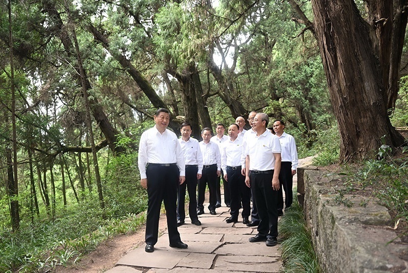 2023年7月25日，習(xí)近平總書記在四川廣元市劍閣縣翠云廊考察。新華社記者 謝環(huán)馳 攝