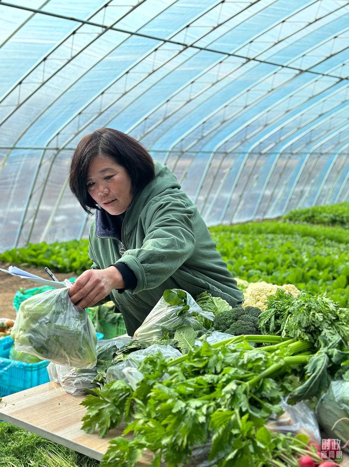 △第六埠村村民正在打包分裝蔬菜。（總臺央視記者盧心雨拍攝）
