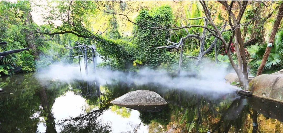 △鼓浪嶼-萬石山風景名勝區(qū)重要組成部分廈門園林植物園熱門景點“雨林世界”。