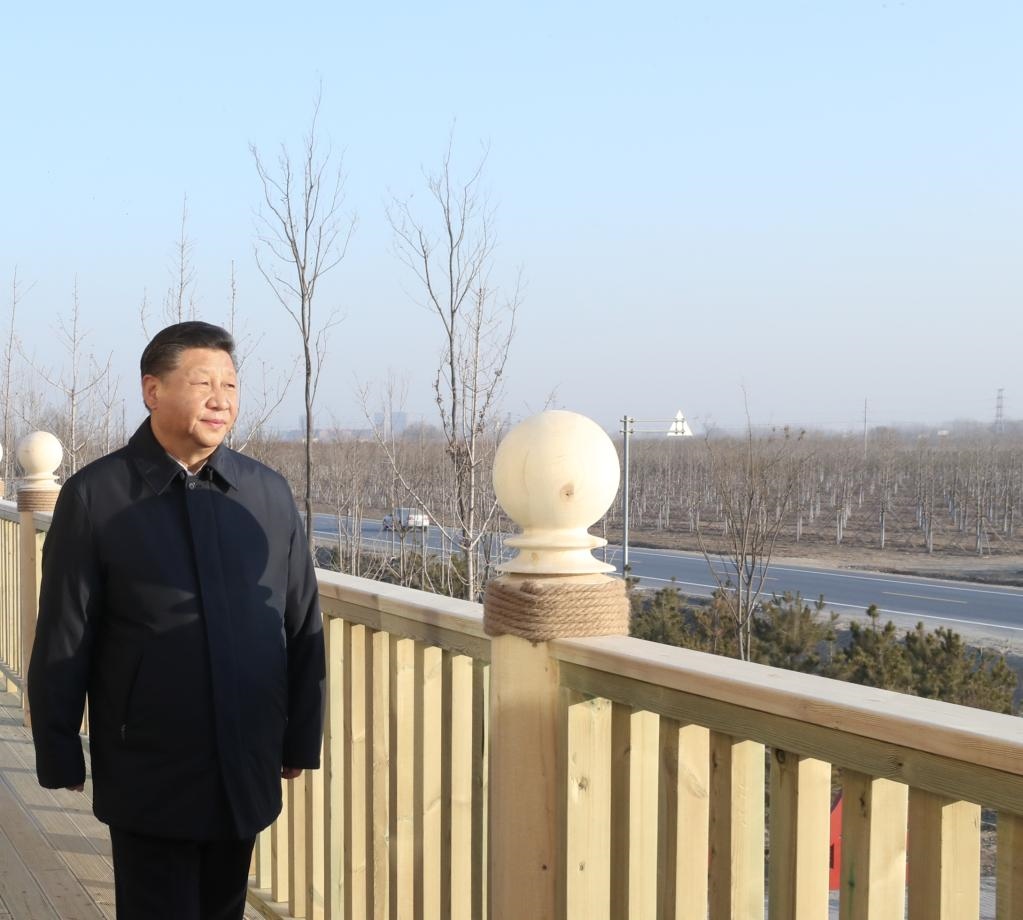 2019年1月16日，在河北雄安新區(qū)“千年秀林”大清河片林一區(qū)造林區(qū)域，習(xí)近平總書記登上秀林驛站二層平臺遠(yuǎn)眺林區(qū)全貌。新華社記者 鞠鵬 攝