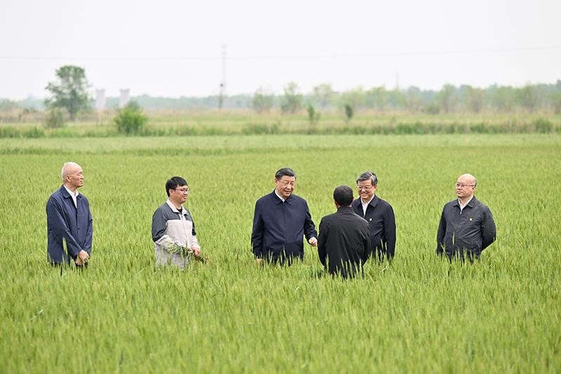 △2023年5月11日，習(xí)近平總書記在河北滄州黃驊市舊城鎮(zhèn)仙莊片區(qū)旱堿地麥田同種植戶、農(nóng)技專家親切交流。