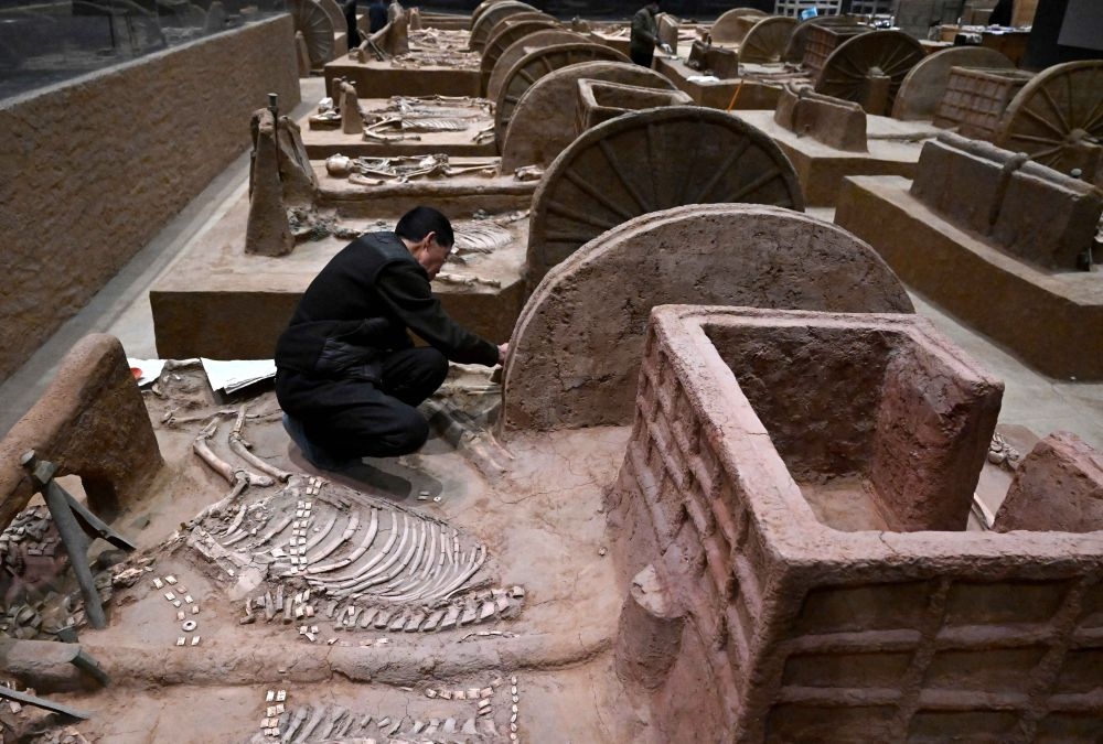 工作人員在殷墟博物館新館的展廳內(nèi)修復(fù)車馬遺跡（2月23日攝）。